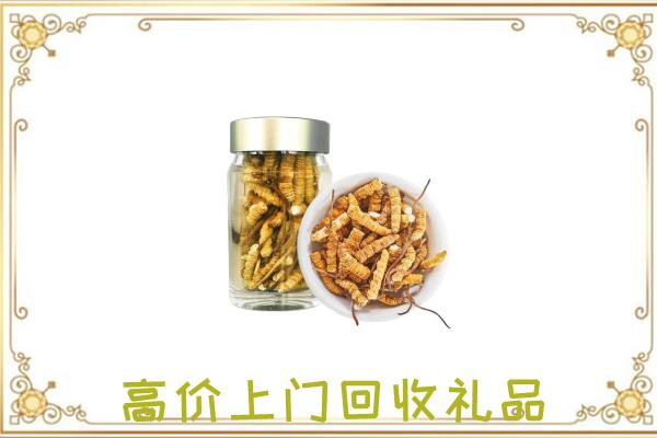 信阳周边回收虫草